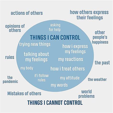 Things I Can Control Vs Things I Cannot Mental Health For Therapist Etsy