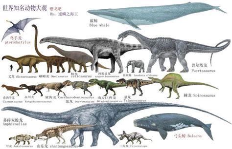 Pin by Gunnar Lundgren on Urgammalt | Dinosaur posters, Dinosaur ...