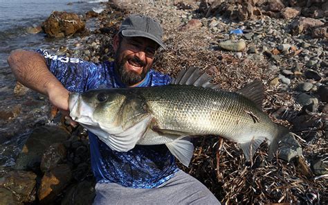 Ψάρεμα spinning Λαβράκι τέρας με τεχνική Heavy Rock Fishing HRF