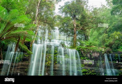 Russell Falls Tasmania Australia Stock Photo - Alamy