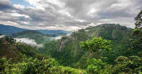 Uganda Climate. Understanding the seasons & the best time to visit ...