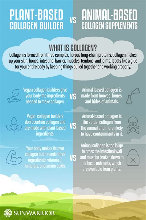 Plant based collagen builder vs animal based collagen supplements which is best for you ...