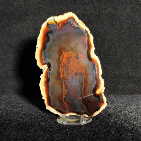 Naturel Agate De Feu Couleurs Uniques L Gant Tranche Catawiki