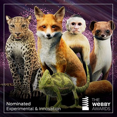 His Dark Materials official My Daemon app nominated for two Webby ...