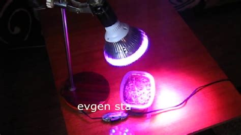 ФИТОЛАМПА. Зачем рассаде подсветка. - YouTube