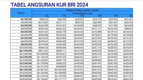 TABEL KUR BRI 2024 Pinjaman Rp 1 Juta Sampai Rp 100 Juta Ada Simak