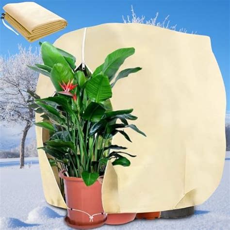 Housse D Hivernage Pour Plantes Voile Hivernage Plante Exterieur 120