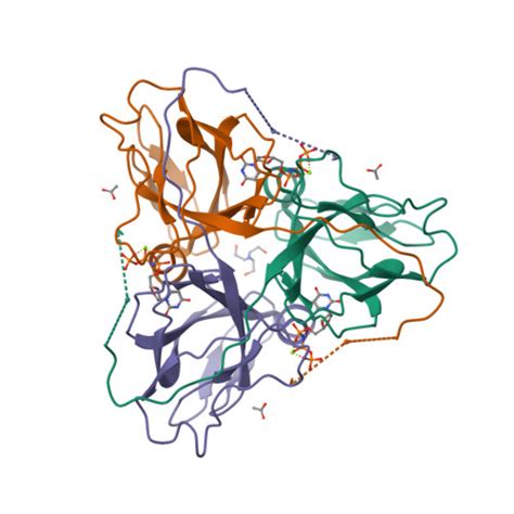 Rcsb Pdb 1rn8 Crystal Structure Of Dutpase Complexed With Substrate Analogue Imido Dutp