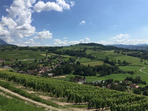 Canicule et dôme de chaleur jusqu où les températures vont elles