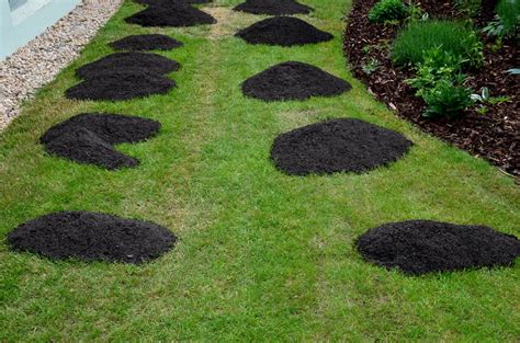 Top Dressing A Lawn How When And Why