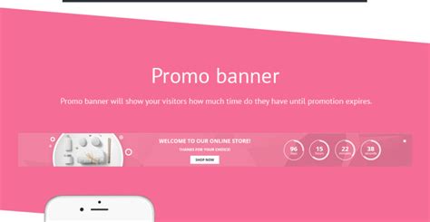 Spa Accessories Responsive Shopify Theme - TemplateMonster