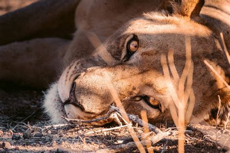 Namibia Scheda Paese CESMET Clinica Del Viaggiatore