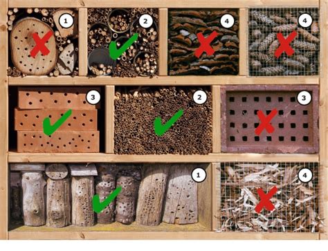 Nisthilfen F R Wildbienen Worauf Achten Insektenhotel Selber Bauen