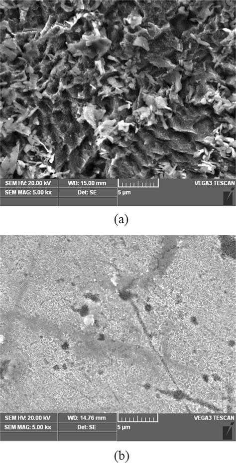 SEM Micrographs Of Mild Steel Surface After Immersed In 0 5 M H2SO4