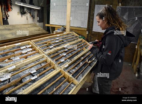 A Geologist Looking At Rock Core Samples Taken By A Mining Exploration