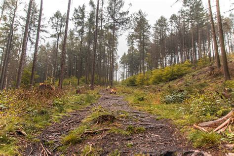 Wandern Im Naturpark Teutoburger Wald Eggegebirge