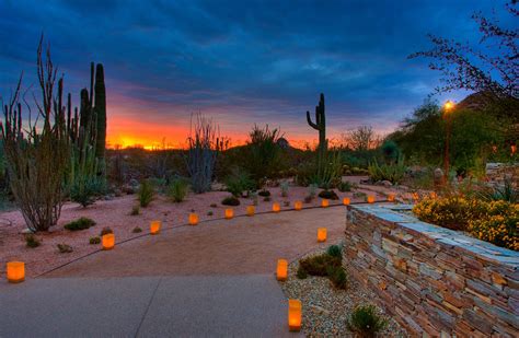 Arizona Botanical Gardens Luminaries | Fasci Garden