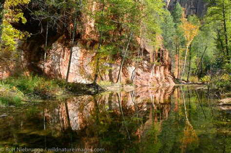 West Fork Of Oak Creek Trail Photos By Ron Niebrugge