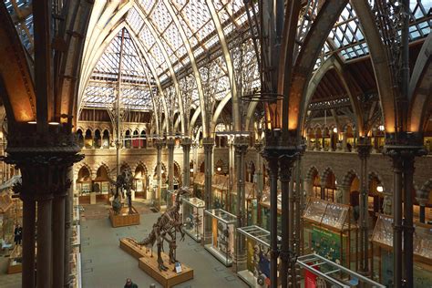 News releases | Oxford University Museum of Natural History