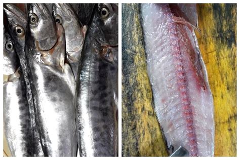 mudah memfillet ikan dijamin daging ikan tidak terbuang sia sia