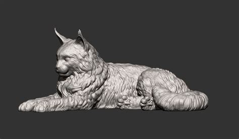 3d File Maine Coon 3d Print Model 🐱・3d Print Design To Download・cults