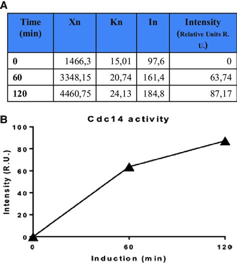 Cdc14 Specific Phosphatase Activity Upon Cdc5 Induction Strains Y571