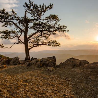 Photos: Explore Ravens Roost Overlook, Lyndhurst, Virginia