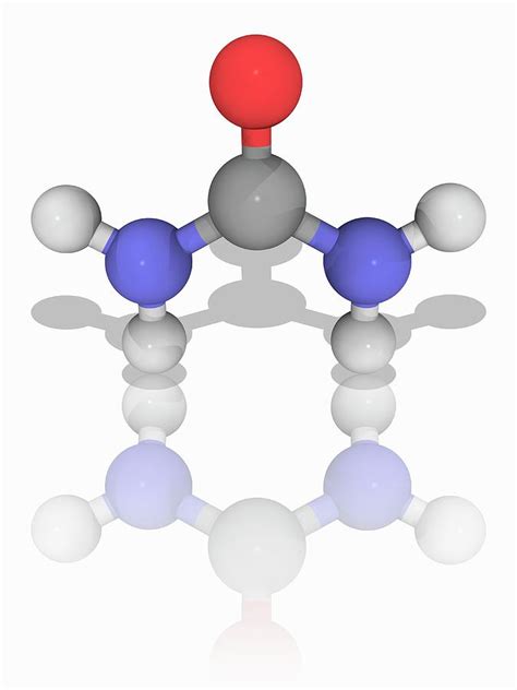 Urea Organic Compound Molecule Photograph By Laguna Design Science