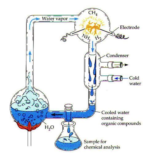 Miller Experiment