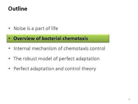 Robustness In Protein Circuits Adaptation In Bacterial Chemotaxis