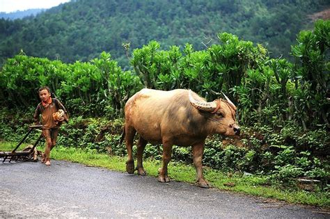 Guide Francophone Au Vietnam Voyage Vietnam Avec Guide Voiture