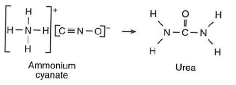 Biochem I C1 C2 C4 Flashcards Quizlet