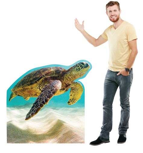 Sea Turtle Cardboard Cutout Cardboard Standee 3053