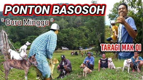 Ponton Basosoh Taragi Nyo Mak Oik Buru Minggu Youtube