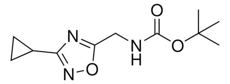 Tert Butyl Chlorophenyl Oxadiazol Yl Methylcarbamate