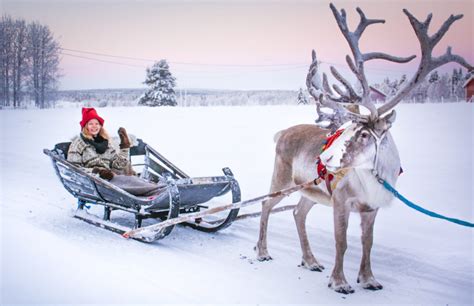 What are Santa’s reindeer like? – FINLAND, NATURALLY