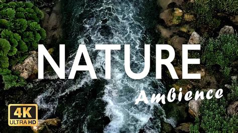 Most Relaxing NATURE Relax With Natural Ambience Sound 432 Hz YouTube