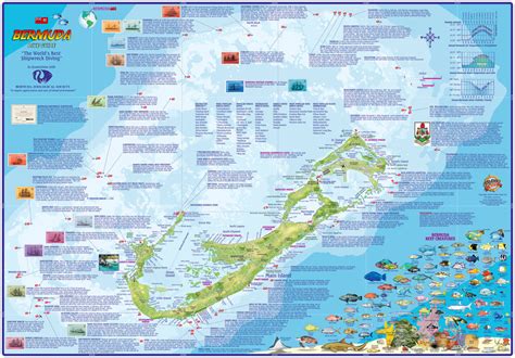 Bermuda Adventure & Dive Guide Map – Franko Maps