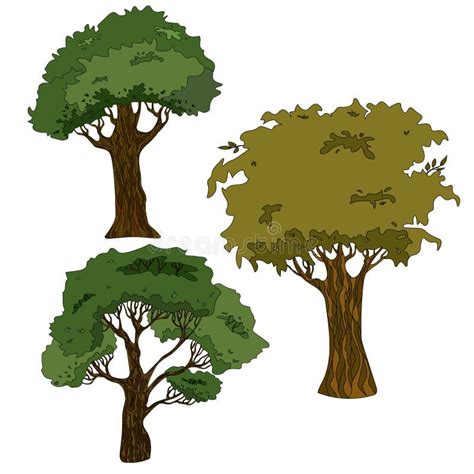 Vector Drawing of a Tree with a Crown and a Trunk. Stock Illustration - Illustration of trunk ...