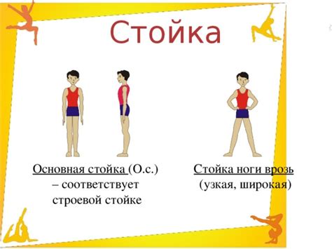 Основные термины гимнастических упражнений