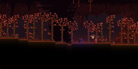 The Best World Seeds In Terraria