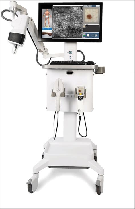 Confocal Microscopy Working Principle And Applications In Dermatology