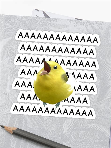 Screaming Bird Meme