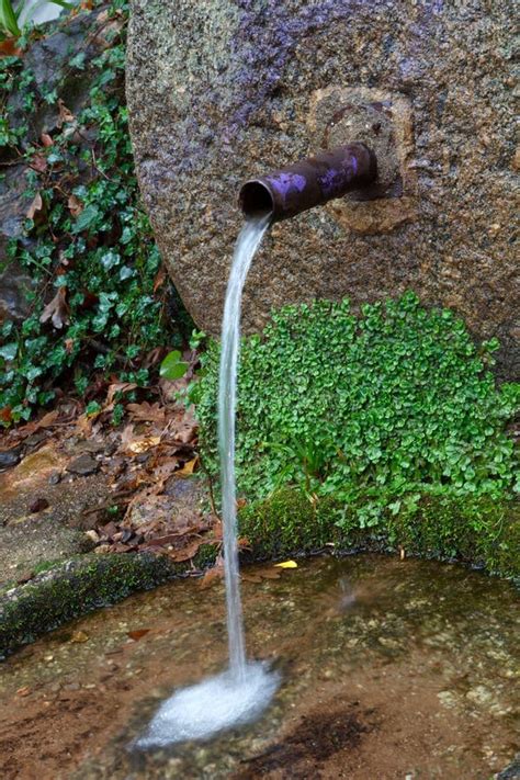 Fuentes de agua naturales imagen de archivo. Imagen de verde - 62743105