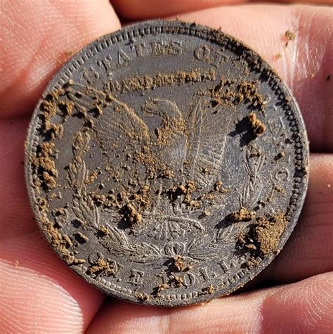 Metal Detecting Morgan Dollar Seated Dime Coin Talk