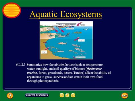 😍 Freshwater abiotic factors. Abiotic and Biotic Factors. 2019-01-24