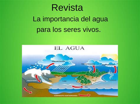 Importancia Del Agua