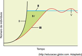 INSPER 2019 1 O gráfico representa duas curvas de crescimento Estuda