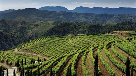 The Mystical and Mountainous Priorat Wine Region - SOMM TV Magazine