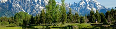 $130 Cheap Flights to Jackson Hole, WY - Expedia